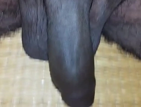 Mayanmandev xvideos indian nude video - 89 chinese big cock gay porn