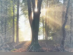 quand le chat a décidé de regarder la télévision happy wind man chinese gay porn