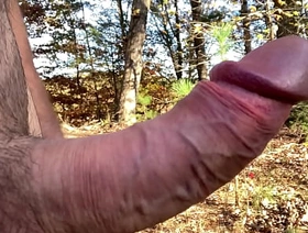 Clitlicker662 - update #19 - IMG 1255 - Nov 24, 2024 asia gay porn movie