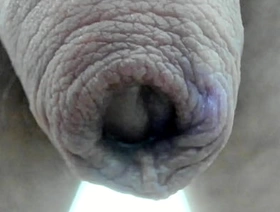 My foreskin superclose :) identically hot gay porn