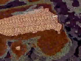 Dick videotape gay korean handsome porn