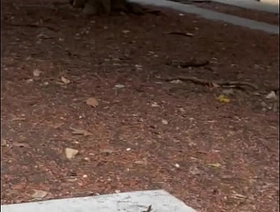 Chica casa de los abuelos skinny korean gay porn