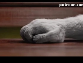 iSal 3d park asia gay porn tube