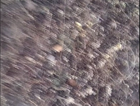 Punheta em público porn gay hot dad