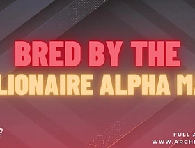 Alpha Male Femboy Sissy [M4M Audio Story] japan gay porn hunk